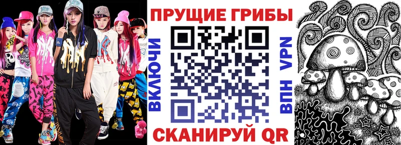 как найти закладки  Елизаветинская  Галлюциногенные грибы Cubensis 